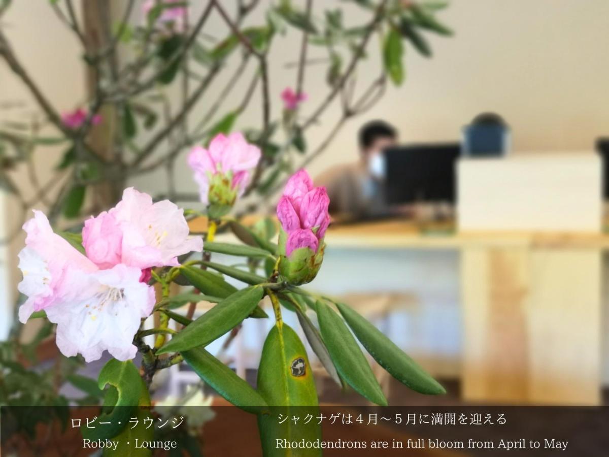 伊豆 龙田日式旅馆酒店 外观 照片